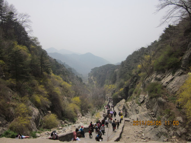 登泰山 图片